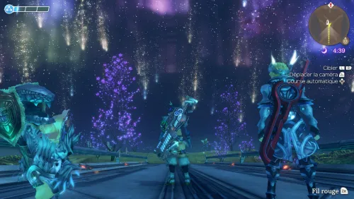 Une nuit d&#039;&eacute;toile filante, c&#039;est magique.