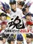 Pro Yakyuu Spirits 2013