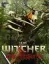 The Witcher: Monster Slayer