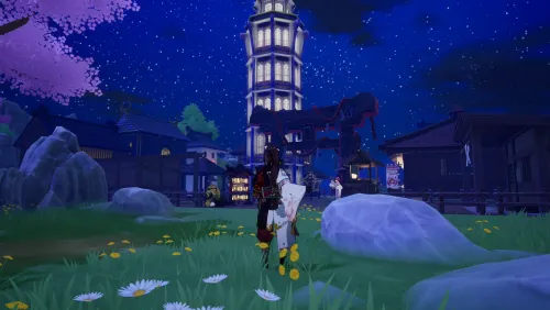 Deux de mes villages dans le village.