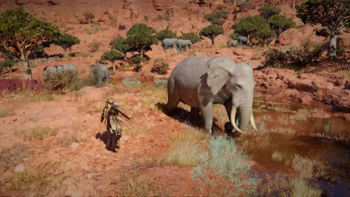 On rencontre vraiment tout un tas d'animaux&nbsp;!